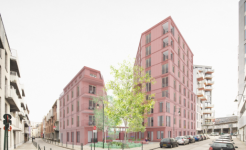 Franki - Roue terre neuve